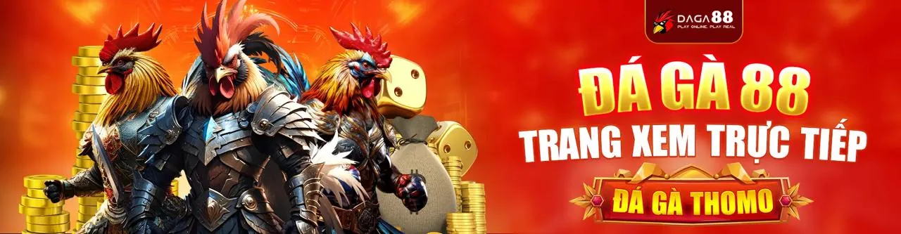 Hình ảnh giới thiệu win666 casino, nền tảng giải trí trực tuyến hàng đầu Việt Nam