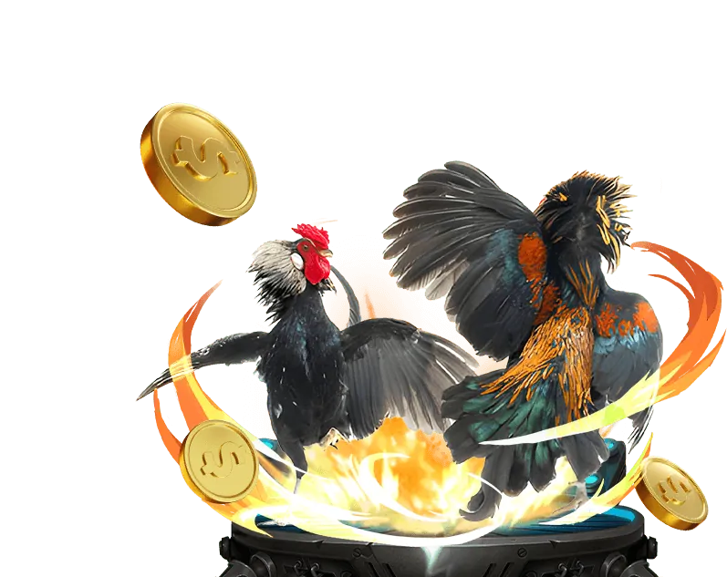 Cá cược bóng đá tại win666 casino